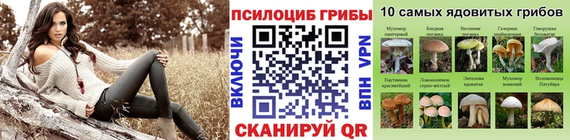 Псилоцибиновые грибы Magic Shrooms  Благовещенск 